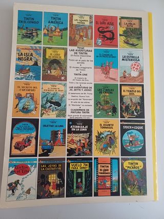 Tintin. Stock de Coque