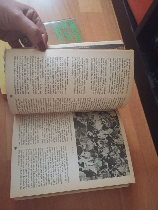 Enciclopedia de la vida natural