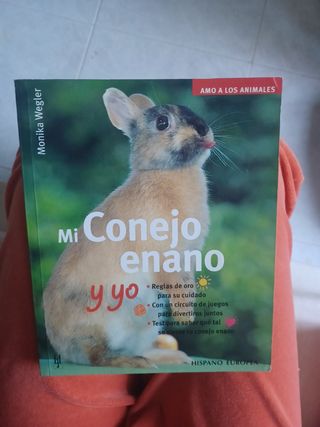 Mi conejo enano