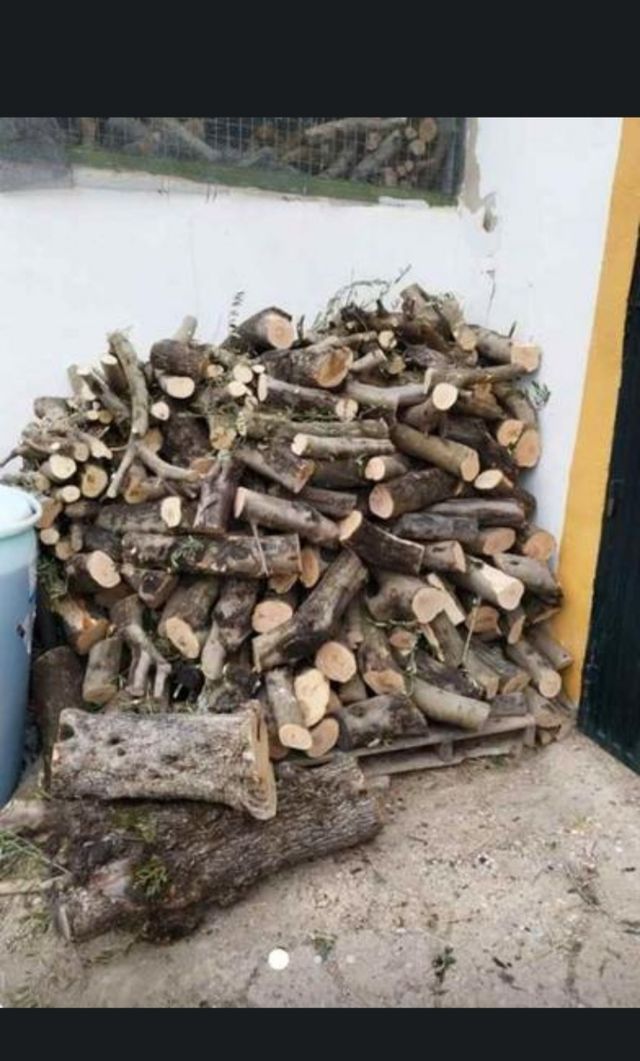 Remolque de leña de olivo