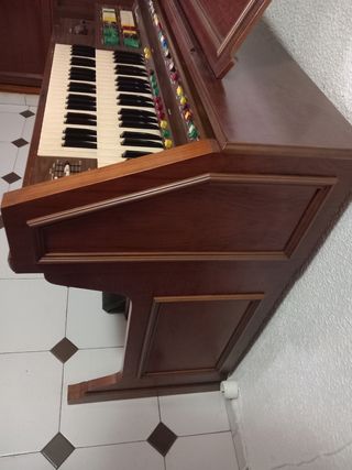 Órgano electrico
