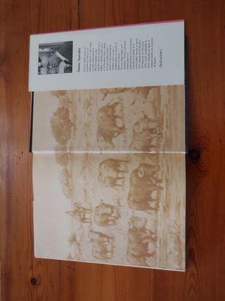 1892-1992, Juan Belmonte