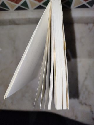 ¿Nació Europa en la Edad Media?