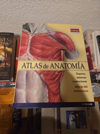 ATLAS DE ANATOMIA (T.DURA)