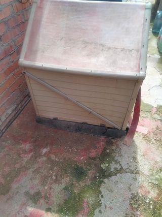 Caseta de perro