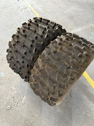 Neumaticos goldspeed quad 9”