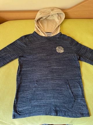 Sudadera Hollister