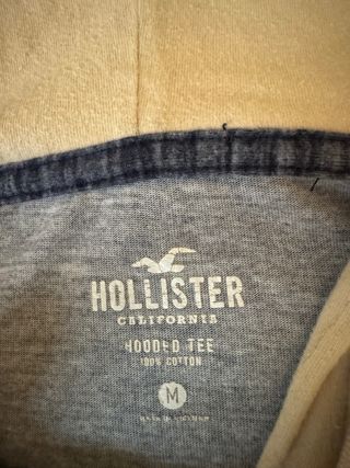 Sudadera Hollister