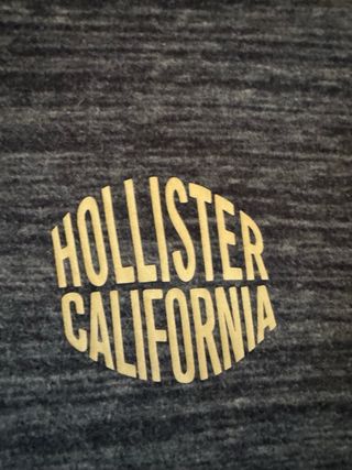 Sudadera Hollister