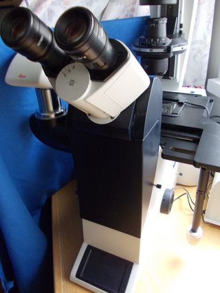 Microscopio Leica DMI-3000