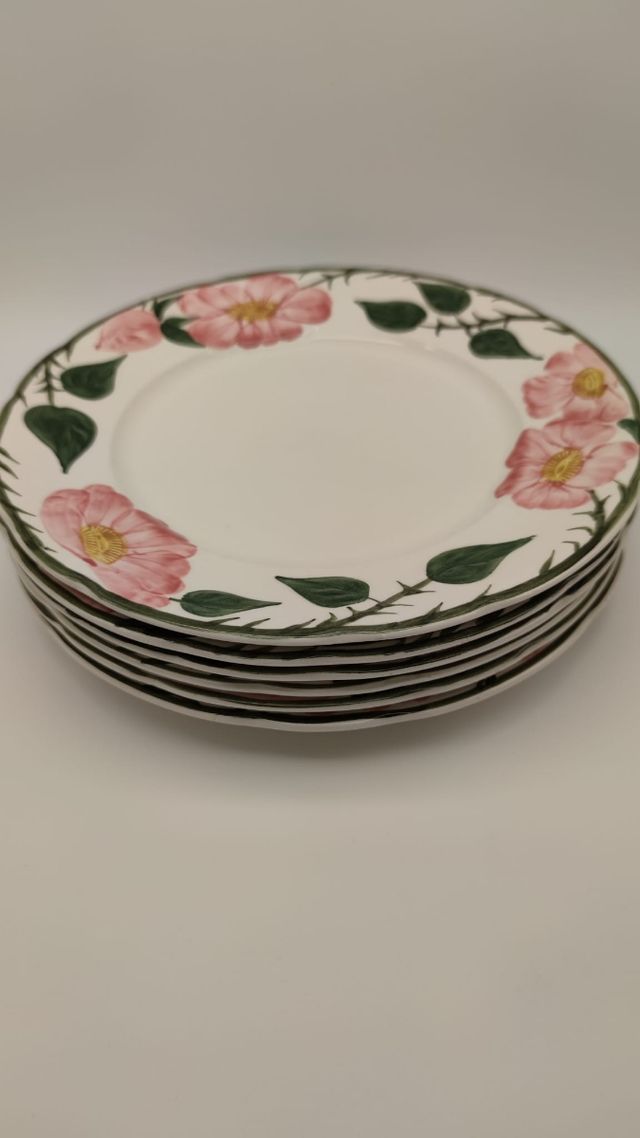 Piatti dolce wild rose