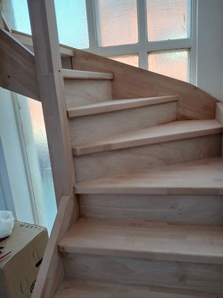 Carpintero de madera