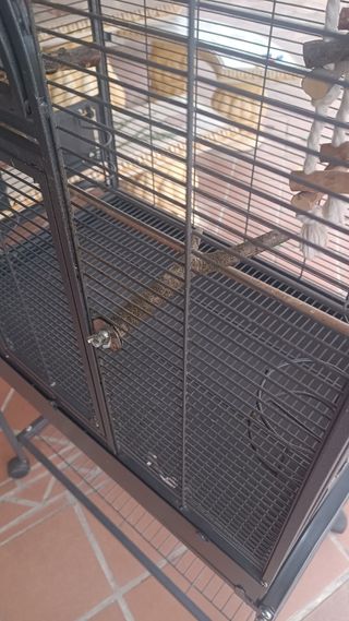 Jaula para aves - Estado impecable