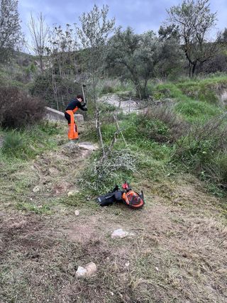 Trabajos de desbroze y poda