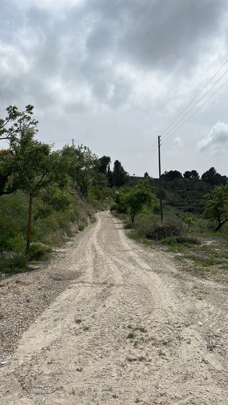 Trabajos de desbroze y poda