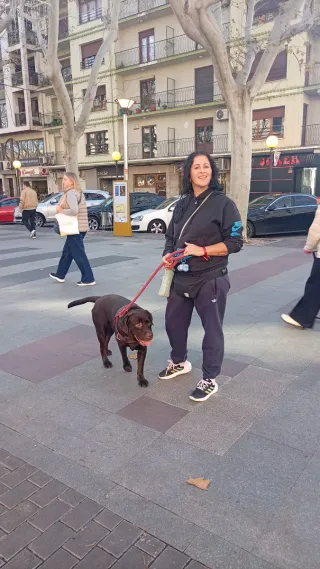 Paseamos y cuidamos a tu mascota