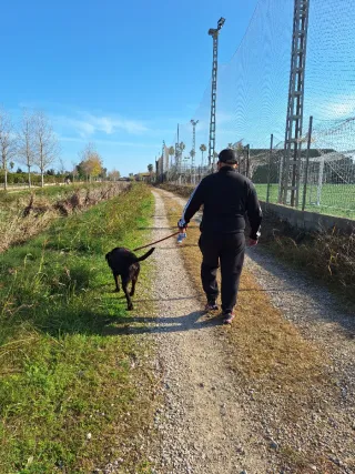 Paseamos y cuidamos a tu mascota