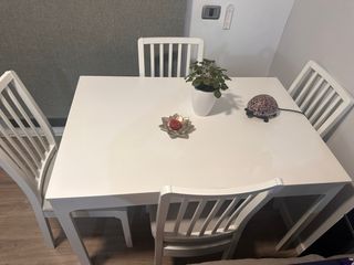 Mesa salon extensible y 4 sillas