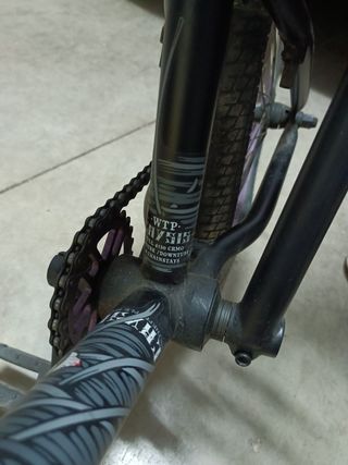 Bicicleta wethepeople edición limitada