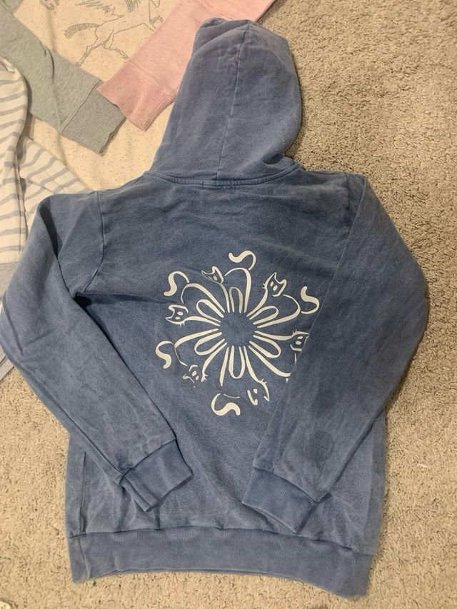 Sudaderas y jerseys varios. Gap Zara, Zahara