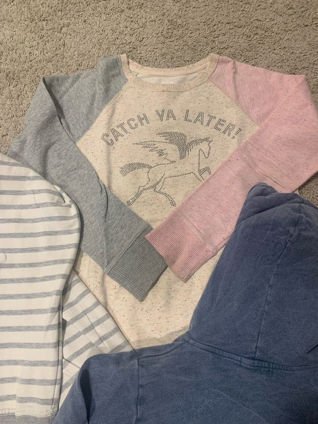 Sudaderas y jerseys varios. Gap Zara, Zahara