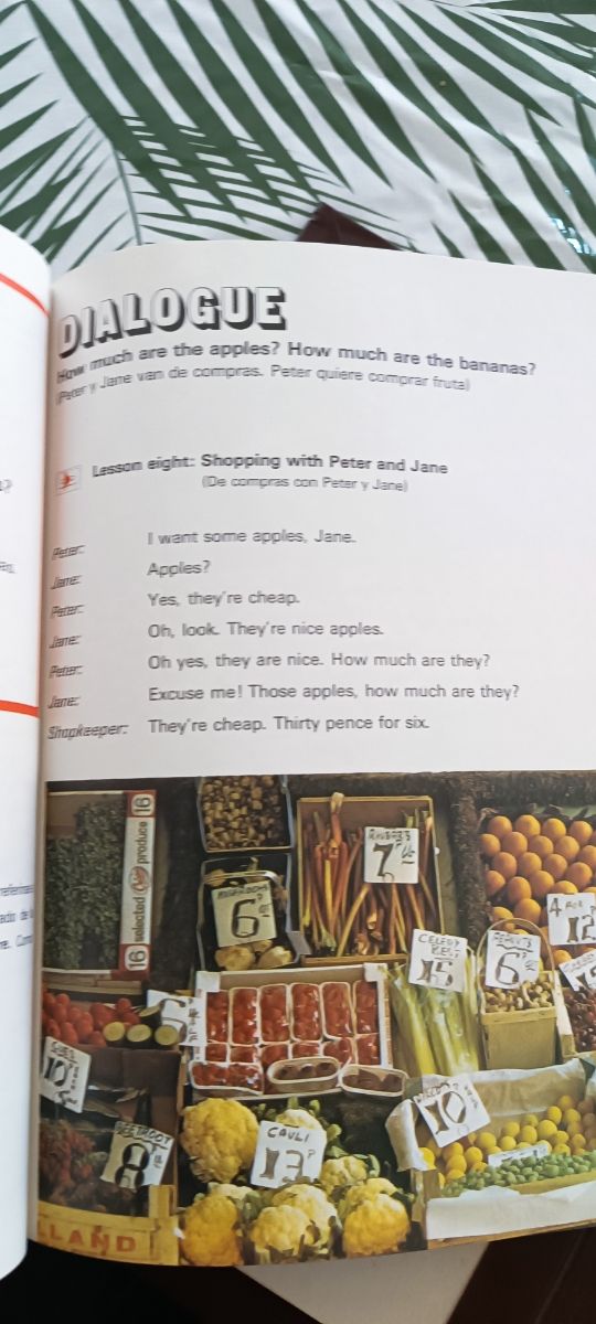 Enciclopedia Salvat BBC curso ingles