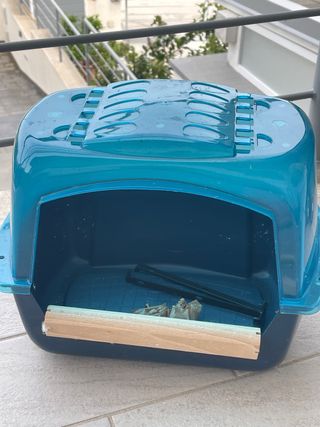 Vasca per pappagallo