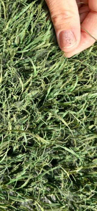 Se vende césped artificial de campos de