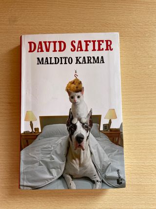 Maldito karma