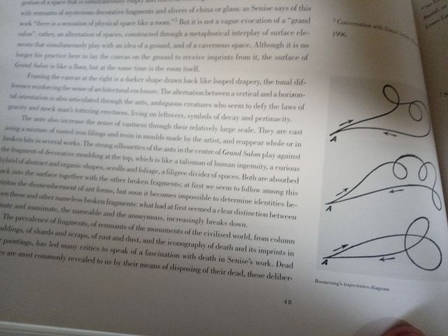 daniel senise ela que nao está libro import