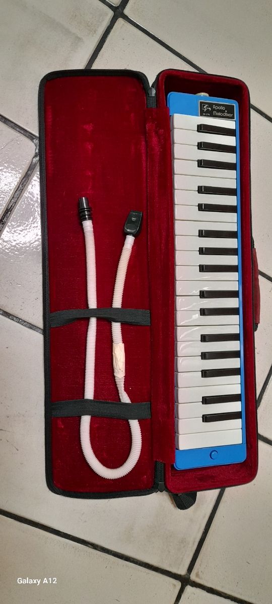 Diamonica Apollo prof.