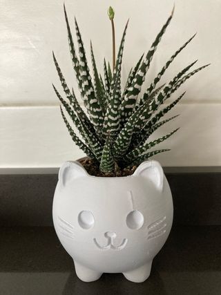 Gattino Vaso decorativo stampa 3d idea bomboniere 