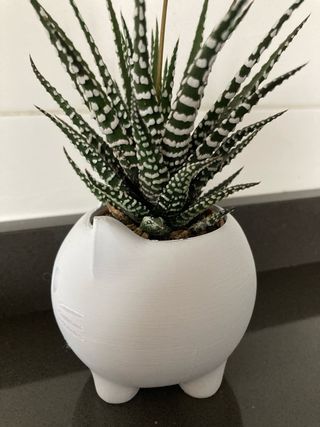 Gattino Vaso decorativo stampa 3d idea bomboniere 