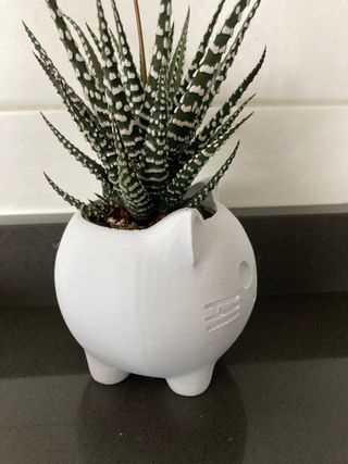 Gattino Vaso decorativo stampa 3d idea bomboniere 