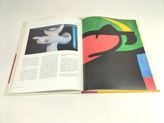 Pack vintage 2 libros Museos de España