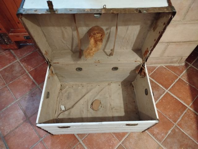 Se vende baúl antiguo