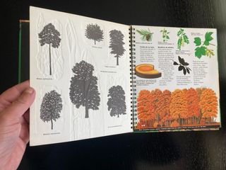 El árbol y el bosque (Biblioteca Interactiva: N...