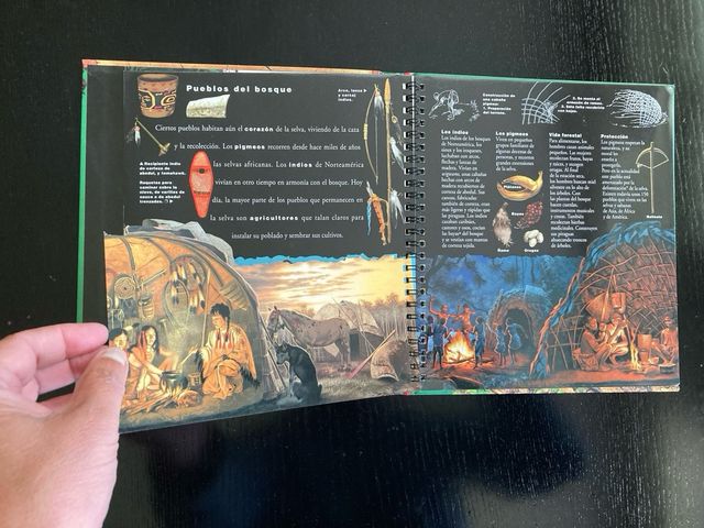 El árbol y el bosque (Biblioteca Interactiva: N...