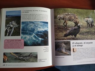 Libros de ciencias y animales