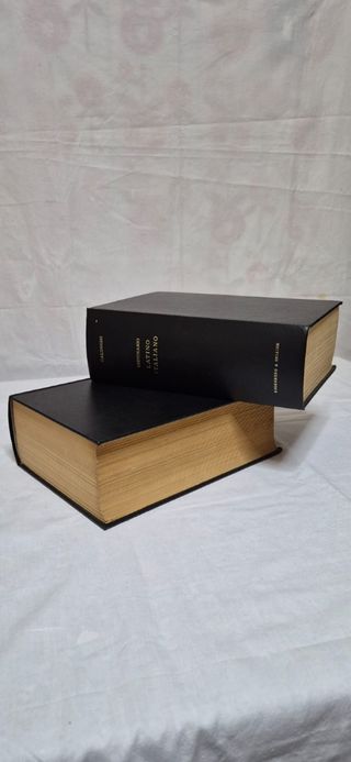 Vocabolario italiano latino