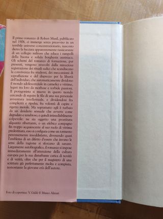 I turbamenti del giovane torless