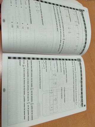 Propuestas de evaluación. Primaria. Matemáticas