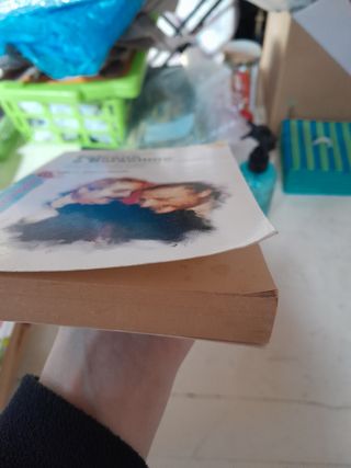 Falcone e Borsellino: La calunnia, il tradimento, la tragedia (Politica e società) (Italian Edition)