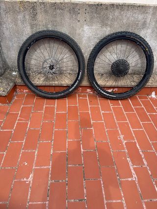 Ruedas 2 bici 29