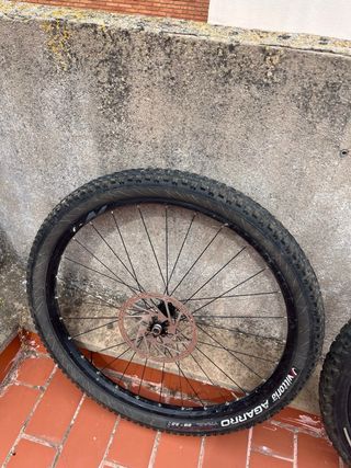 Ruedas 2 bici 29