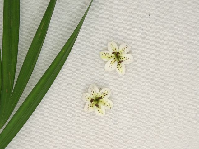 Pendientes de lirios