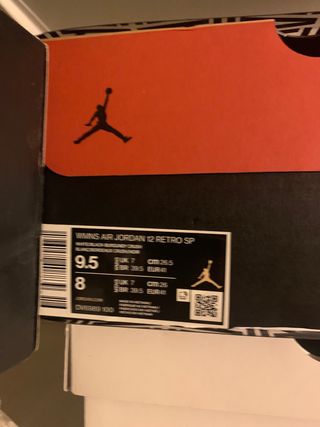 Air Jordan 12