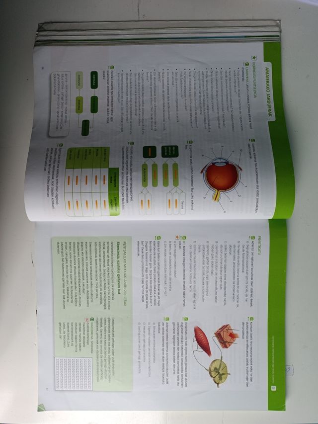 Libro Biologia eta Geologia DBH3