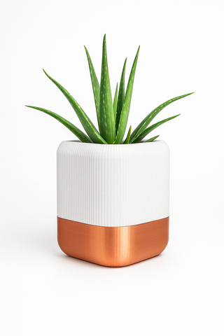 Fioriera autoirrigante dal design elegante