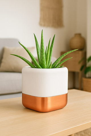 Fioriera autoirrigante dal design elegante